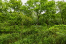 3F9A4388.jpg