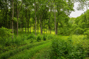 3F9A4389.jpg