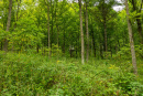 3F9A4391.jpg