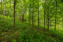 3F9A4393.jpg
