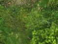 40-DJI_20250909183117_0002_Z.jpg