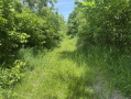 40-IMG_3352_2.jpg
