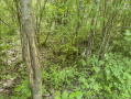41-IMG_3353_1.jpg