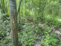 42-IMG_3354.jpg