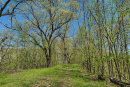 44-DSC07923.png