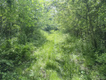 44-IMG_3356.jpg