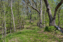 45-DSC07926.png