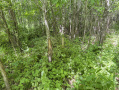 45-IMG_3357.jpg
