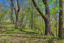 46-DSC07928.png