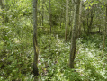 47-IMG_3359_3.jpg