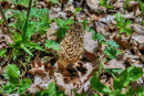 48-DSC07943.png