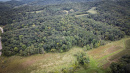 49-DJI_0210.jpg