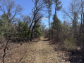 49-IMG_3005_2.jpg