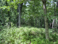 49-IMG_3361.jpg