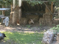5-IMG_2280.jpg