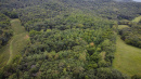 50-DJI_0214.jpg