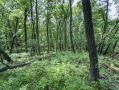 51-IMG_3363_2.jpg