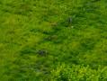 52-DJI_20250909190203_0012_Z.jpg