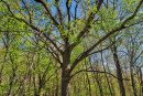 52-DSC07953.png