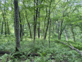 52-IMG_3364_2.jpg