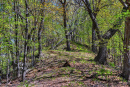 53-DSC07957.png