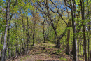 54-DSC07958.png
