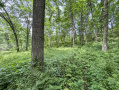 54-IMG_3366_1.jpg