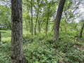 55-IMG_3367_2.jpg
