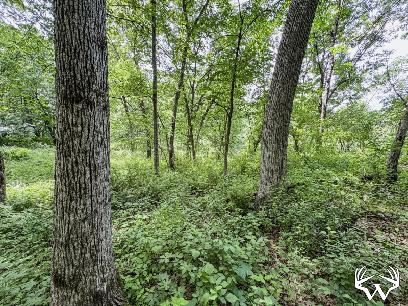55-IMG_3367.jpg