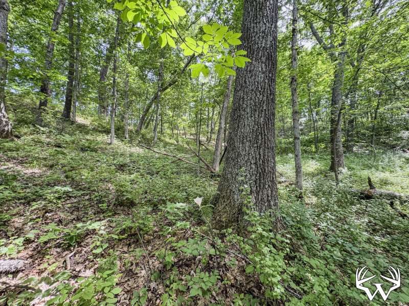 56-IMG_3368_2.jpg