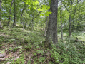 56-IMG_3368_2.jpg