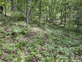 57-IMG_3369_2.jpg