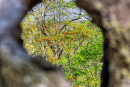 58-DSC07967.png