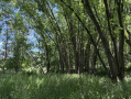 600e10f7-0d60-40f3-933b-396b5cf87a71.jpg