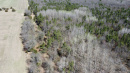 61-DJI_0640_1.jpg