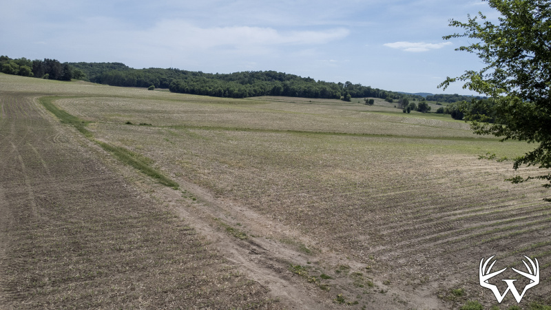 61-DJI_0660.jpg