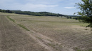 61-DJI_0660.jpg
