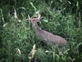 61-DJI_20250909191952_0047_Z.jpg