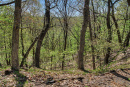 61-DSC07972.png