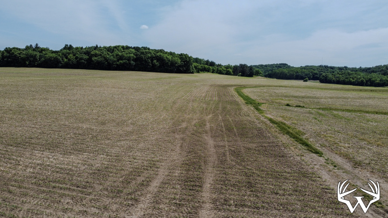 62-DJI_0661.jpg