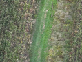 62-DJI_20250909192055_0048_Z.jpg