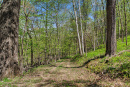 62-DSC07976.png