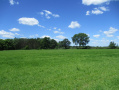 67.4acres1780.JPG