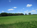 67.4acres1790.JPG