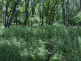69bd9452-fd0e-4f80-adcf-277a81c2621f.jpg