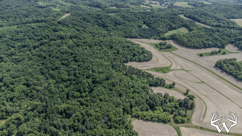 79-DJI_0669.jpg