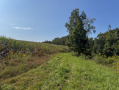 8-IMG_1357.jpg