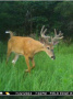 803632928312_1280_1024_7ucY5c_88XVyMRKq.jpg