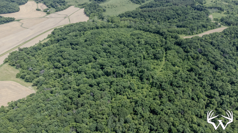 83-DJI_0671.jpg