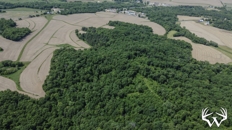 88-DJI_0674.jpg